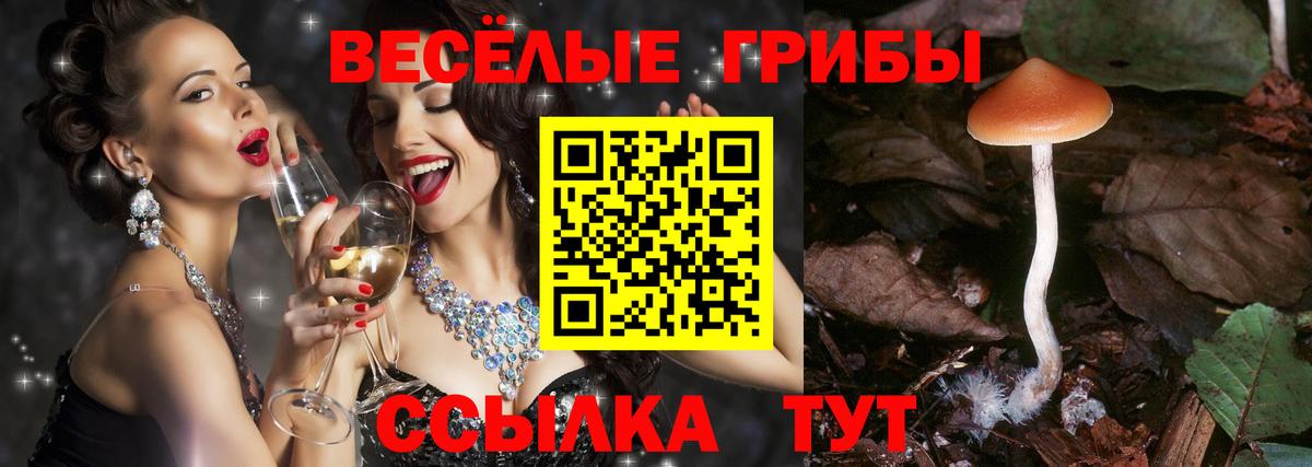 Галлюциногенные грибы мицелий  Вход с VPN  Кызыл  Псилоцибиновые грибы мухоморы 